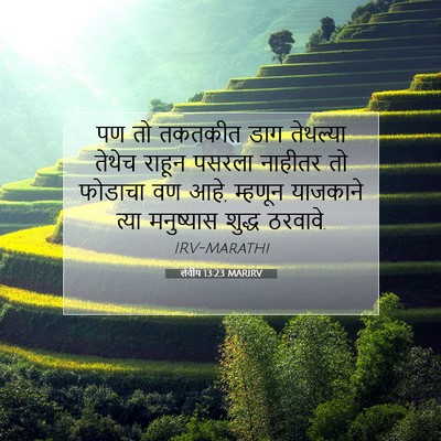 Picture 07 - लेवीय 13:23 MARIRV - पण तो तकतकीत डाग - Bible Verse Picture
