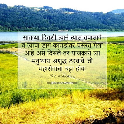 Picture 07 - लेवीय 13:27 MARIRV - सातव्या दिवशी - Bible Verse Picture