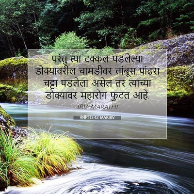 Picture 07 - लेवीय 13:42 MARIRV - परंतु त्या टक्कल - Bible Verse Picture