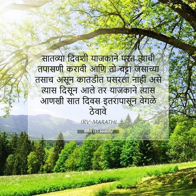 Picture 07 - लेवीय 13:5 MARIRV - सातव्या दिवशी - Bible Verse Picture