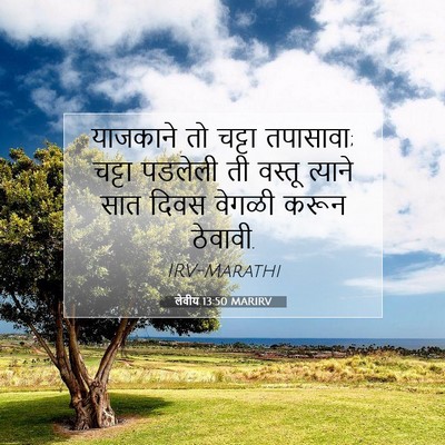 Picture 07 - लेवीय 13:50 MARIRV - याजकाने तो चट्टा - Bible Verse Picture