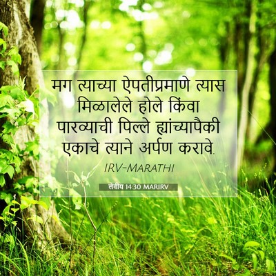 Picture 07 - लेवीय 14:30 MARIRV - मग त्याच्या - Bible Verse Picture