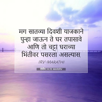 Picture 07 - लेवीय 14:39 MARIRV - मग सातव्या दिवशी - Bible Verse Picture