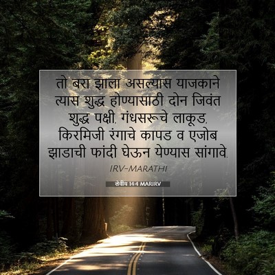 Picture 07 - लेवीय 14:4 MARIRV - तो बरा झाला - Bible Verse Picture