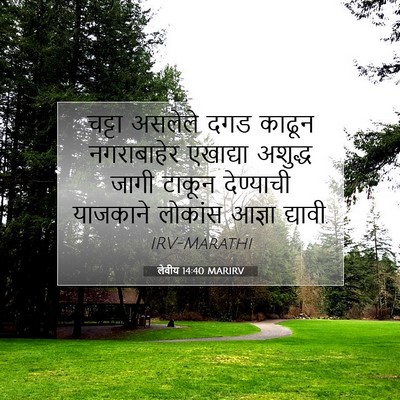 Picture 07 - लेवीय 14:40 MARIRV - चट्टा असलेले दगड - Bible Verse Picture