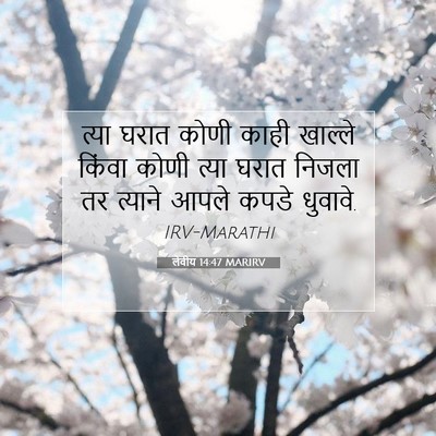 Picture 07 - लेवीय 14:47 MARIRV - त्या घरात कोणी - Bible Verse Picture