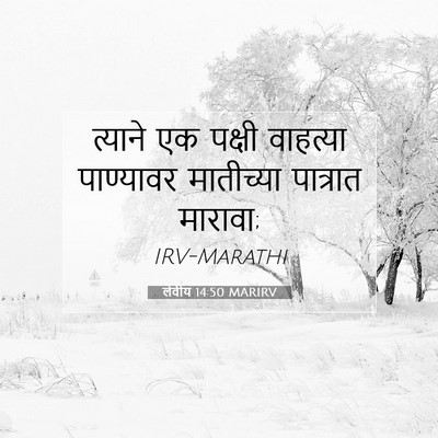 Picture 07 - लेवीय 14:50 MARIRV - त्याने एक पक्षी - Bible Verse Picture
