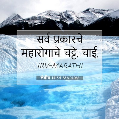 Picture 07 - लेवीय 14:54 MARIRV - सर्व प्रकारचे - Bible Verse Picture