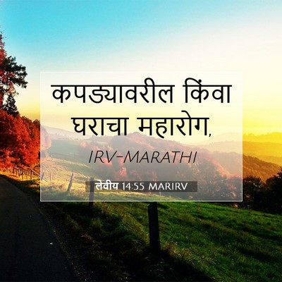Picture 07 - लेवीय 14:55 MARIRV - कपड्यावरील किंवा - Bible Verse Picture