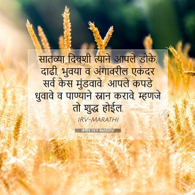 Picture 07 - लेवीय 14:9 MARIRV - सातव्या दिवशी - Bible Verse Picture