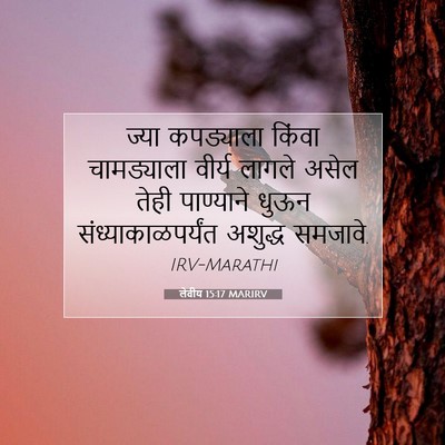 Picture 07 - लेवीय 15:17 MARIRV - ज्या कपड्याला - Bible Verse Picture