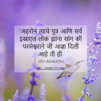 Picture 07 - लेवीय 17:2 MARIRV - “अहरोन त्याचे - Bible Verse Picture