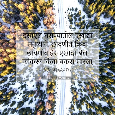 Picture 07 - लेवीय 17:3 MARIRV - इस्राएल - Bible Verse Picture