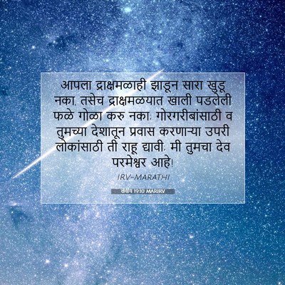 Picture 07 - लेवीय 19:10 MARIRV - आपला द्राक्षमळाही - Bible Verse Picture