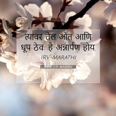 Picture 07 - लेवीय 2:15 MARIRV - त्यावर तेल ओत आणि - Bible Verse Picture