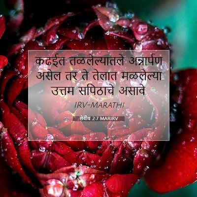 Picture 07 - लेवीय 2:7 MARIRV - कढईत तळलेल्यातले - Bible Verse Picture