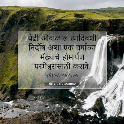Picture 07 - लेवीय 23:12 MARIRV - पेंढी ओवाळाल - Bible Verse Picture