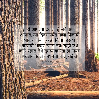 Picture 07 - लेवीय 23:14 MARIRV - तुम्ही आपल्या - Bible Verse Picture