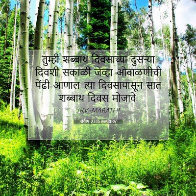 Picture 07 - लेवीय 23:15 MARIRV - तुम्ही शब्बाथ - Bible Verse Picture