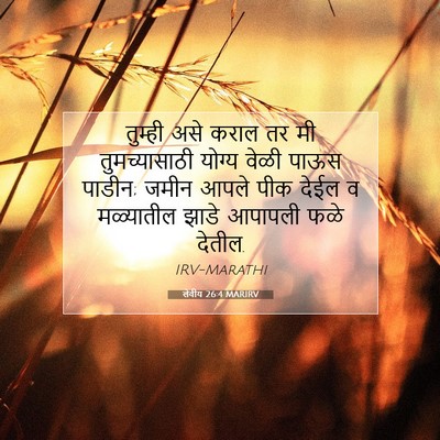 Picture 07 - लेवीय 26:4 MARIRV - तुम्ही असे कराल तर - Bible Verse Picture
