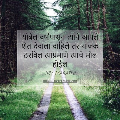 Picture 07 - लेवीय 27:17 MARIRV - योबेल वर्षापासून - Bible Verse Picture