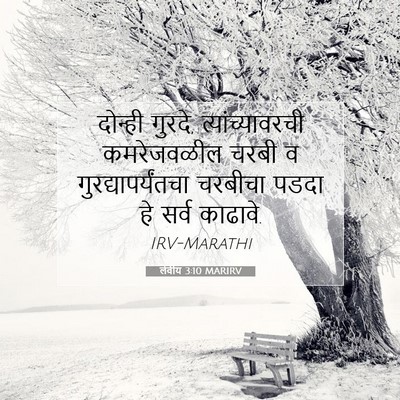 Picture 07 - लेवीय 3:10 MARIRV - दोन्ही गुरदे, - Bible Verse Picture
