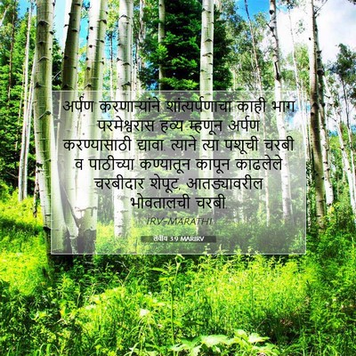 Picture 07 - लेवीय 3:9 MARIRV - अर्पण करणाऱ्यांने - Bible Verse Picture