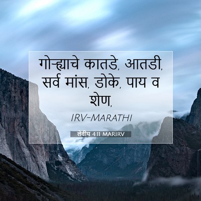 Picture 07 - लेवीय 4:11 MARIRV - गोऱ्ह्याचे कातडे, - Bible Verse Picture