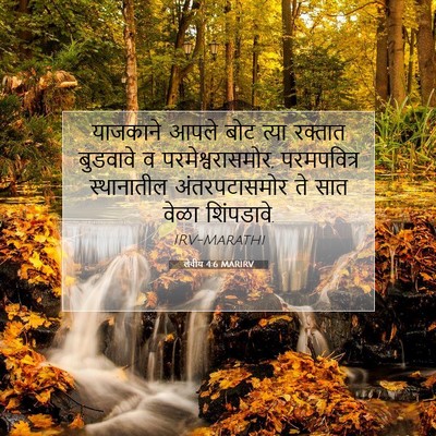 Picture 07 - लेवीय 4:6 MARIRV - याजकाने आपले बोट - Bible Verse Picture