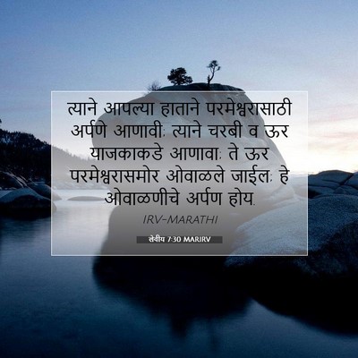 Picture 07 - लेवीय 7:30 MARIRV - त्याने आपल्या - Bible Verse Picture