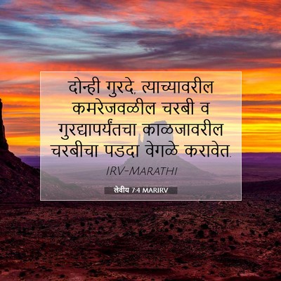 Picture 07 - लेवीय 7:4 MARIRV - दोन्ही गुरदे, - Bible Verse Picture