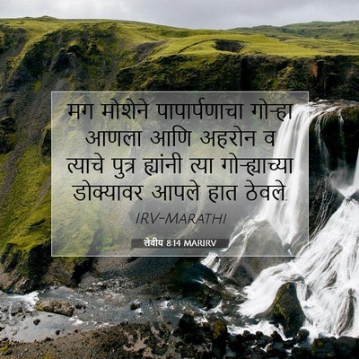 Picture 07 - लेवीय 8:14 MARIRV - मग मोशेने - Bible Verse Picture