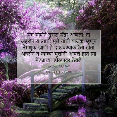 Picture 07 - लेवीय 8:22 MARIRV - मग मोशेने दुसरा - Bible Verse Picture