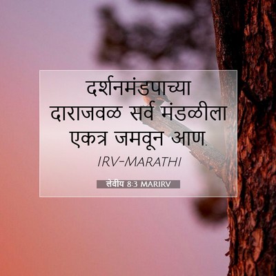 Picture 07 - लेवीय 8:3 MARIRV - दर्शनमंडपाच्या - Bible Verse Picture