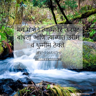Picture 07 - लेवीय 8:8 MARIRV - मग मोशेने - Bible Verse Picture