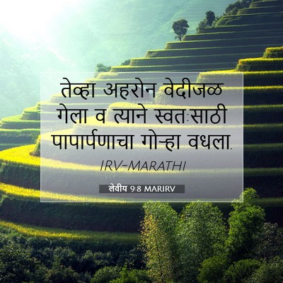 Picture 07 - लेवीय 9:8 MARIRV - तेव्हा अहरोन - Bible Verse Picture