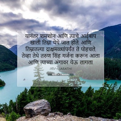 Picture 07 - शास्ते 14:5 MARIRV - यानंतर शमशोन आणि - Bible Verse Picture
