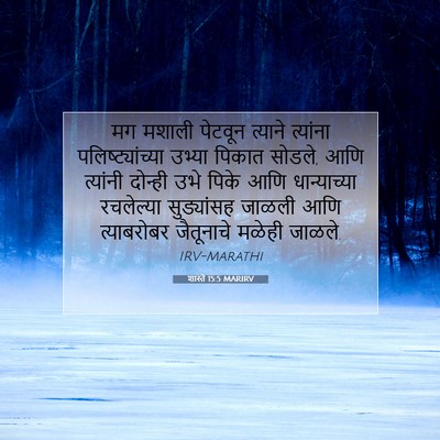 Picture 07 - शास्ते 15:5 MARIRV - मग मशाली पेटवून - Bible Verse Picture