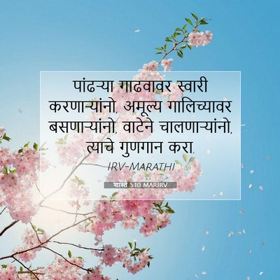 Picture 07 - शास्ते 5:10 MARIRV - पांढऱ्या गाढवावर - Bible Verse Picture