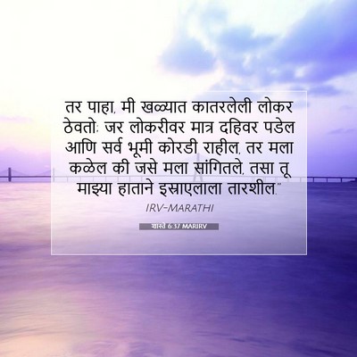 Picture 07 - शास्ते 6:37 MARIRV - तर पाहा, मी खळ्यात - Bible Verse Picture