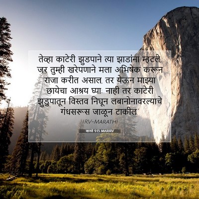 Picture 07 - शास्ते 9:15 MARIRV - तेव्हा काटेरी - Bible Verse Picture