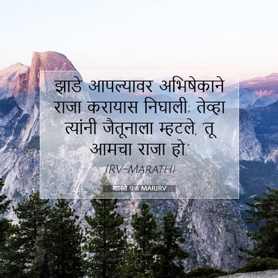 Picture 07 - शास्ते 9:8 MARIRV - झाडे आपल्यावर - Bible Verse Picture