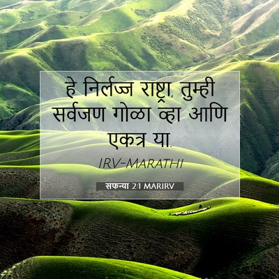 Picture 07 - सफन्या 2:1 MARIRV - हे निर्लज्ज - Bible Verse Picture