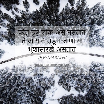Picture 07 - स्तोत्रसंहिता 1:4 MARIRV - परंतु दुष्ट लोक - Bible Verse Picture