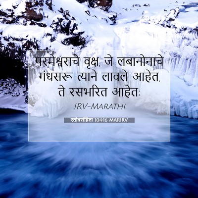 Picture 07 - स्तोत्रसंहिता 104:16 MARIRV - परमेश्वराचे - Bible Verse Picture