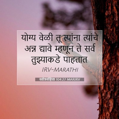 Picture 07 - स्तोत्रसंहिता 104:27 MARIRV - योग्य वेळी तू - Bible Verse Picture