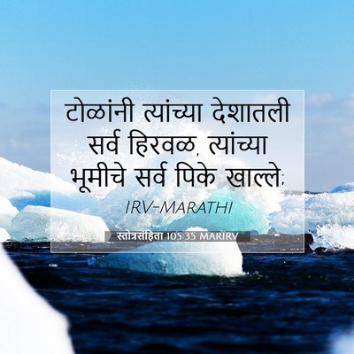 Picture 07 - स्तोत्रसंहिता 105:35 MARIRV - टोळांनी त्यांच्या - Bible Verse Picture