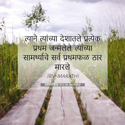 Picture 07 - स्तोत्रसंहिता 105:36 MARIRV - त्याने त्यांच्या - Bible Verse Picture