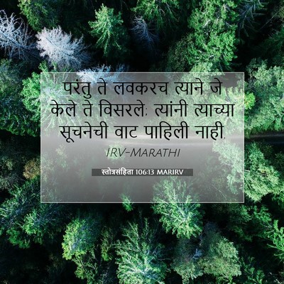 Picture 07 - स्तोत्रसंहिता 106:13 MARIRV - परंतु ते लवकरच - Bible Verse Picture