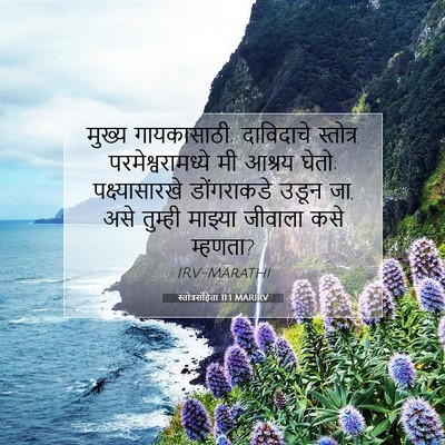 Picture 07 - स्तोत्रसंहिता 11:1 MARIRV - मुख्य गायकासाठी; - Bible Verse Picture